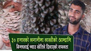 ३० हजारको लगानीमा लाखौको आम्दानि बिजयलाई च्याउ खेतिले दिलाएको सफलता । Mushroom Farming Training