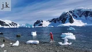 Polar Plunge in der Antarktis - der Sprung ins kalte Wasser