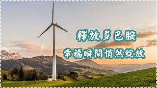釋放多巴胺 幸福瞬間悄然綻放【1小時】Soothing Music, Relaxing Music