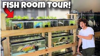 I LOST Tons Of My AQUARIUM FISH!