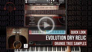 Quick Look: Evolution Dry Relic by Orange Tree Samples