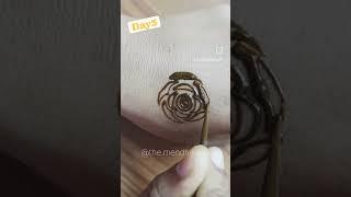 Day 3  #followforfollowback #mehendi #mehendiart #mehendiartist #mehendidesign #mehendidesign