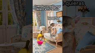 Cuando consulto por dinero a mi familia #storytime #historiasdegatos #funny #michis #gatitos