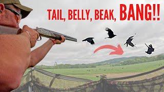 CROW SHOOTING | DECOYING CORVIDS | STEALTH MODE ENGAGED!!