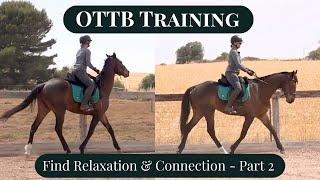 Teaching Your OTTB To Stretch Under Saddle