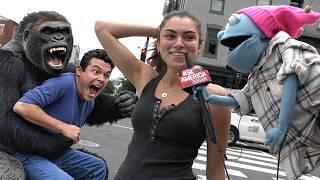 100 LIBERAL Men vs 1 GORILLA