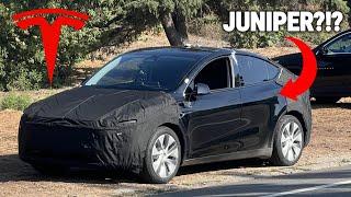 TESLA MODEL Y JUNIPER?!? 