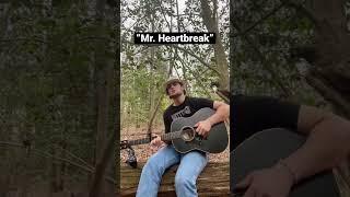 My original song “Mr. Heartbreak” #originalsong #originalmusic