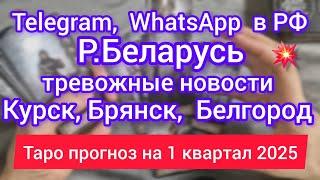 КУРСК, БЕЛГОРОД, БРЯНСК. Р.БЕЛАРУСЬ ЗИМА 2025. Telegram,  WhatsApp в России. Блокировка.Таро расклад