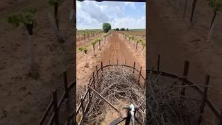 Amazing plough  #india #new #tech #shorts #viralvideo #reels #trending #amazing #technology