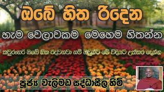 හිත රිදුණ වෙලාවට මේ දේශනාව අහන්න |  Ven. Welimada Saddhaseela Thero වැලිමඩ සද්ධාසීල හිමි DamSak Nada