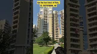 Best deal of Rent or Resell in Sector 137. #rent #sell #buy #flats #resell #2bhk #3bhk #1bhk  #shop