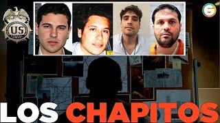 Así descubrió la DEA a “Los Chapitos”  #CDS  #Sinaloa