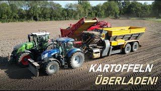 Kartoffelernte 2022 ( Kartoffeln überladen) Grimme/ Fendt/ Brettmeister/ Landwirtschaft im Emsland