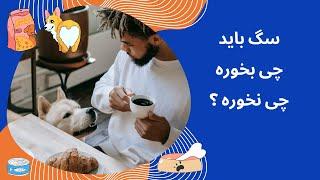 غذای سگ - غذای خشک یا غذای خانگی