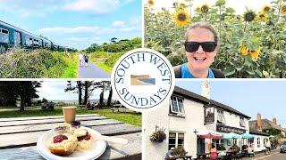 EXMOUTH to TOPSHAM Walk | Exe Estuary Trail | Devon