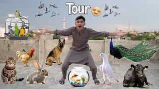 All Pets Animals Tour Vlog 