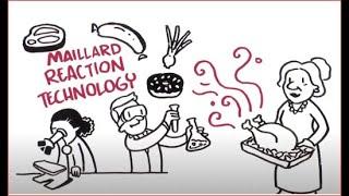 Reaction Flavors - The Science Behind the Maillard Reaction