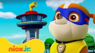 Rubble e i salvataggi della Torre di Controllo dei PAW Patrol! | 90 minuti | Nick Jr. Italia