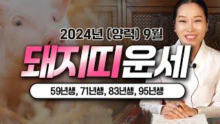 2024년 갑진년 9월 돼지띠 운세 새로운 변화와 기회가 찾아와 대박나는 돼지띠! [59년생 71년생 83년생 95년생]