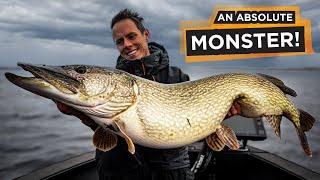 An Absolute MONSTER of a Pike!  Big Bait Madness Starts!