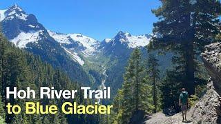 Hoh River Trail to Blue Glacier Hike Guide