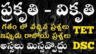 TET|DSC|Telugu Classes|Telugu Grammar Classes|ప్రకృతి- వికృతి టాపిక్ ప్రీవియస్,ప్రాక్టీస్ ప్రశ్నలు