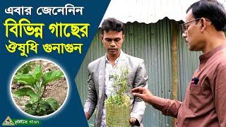 757-এবার দেখুন পরিবেশ বান্ধব গাছ এর ঔষুধি গুনাগুন- R.I.Manik.Chitrapuri Krishichitra