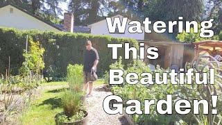 How I Water the Garden in Portland, Oregon