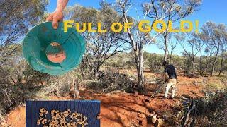 Uncovered GOLD rich honey hole in outback Western Australia!