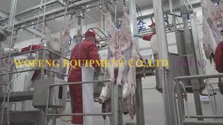WFA Cow Beef Slaughter House Processing Equipment For Cattle Abattoir Machine