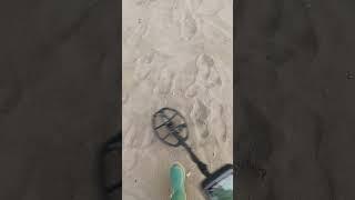 ricerca con il metal detector #metaldetecting #metaldetectoritalia #history #hobby #perte #treasure