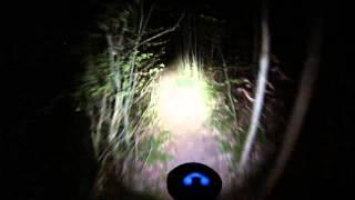 nightride