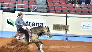 2017 AQHA World Champion Wimpys Little Nite