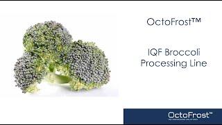 OctoFrost™ IQF Processing Line Broccoli in Mexico – Blanching, Chilling and IQF Freezing Line