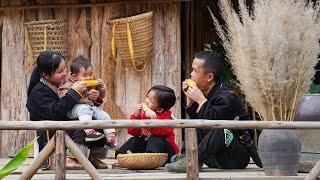 Dwarf family harvesting corn and enjoys it with their children | Garden renovation.