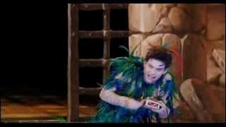 Papageno - "Ein Mädchen oder Weibchen"