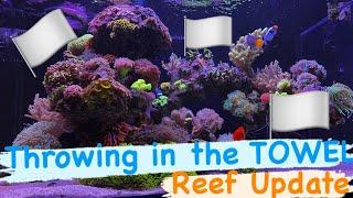 The SOLO REEF - Surviving Life Being Busy | Ep.38