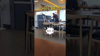 은퇴후생활 특이한 은퇴남편 #은퇴부부 #은퇴 #은퇴생활