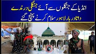 Data Darbar Salam Karnay India Say Darinday Lahore Phonch Gay | Hazrat Data Ganj Bakhsh Ali Hajveri