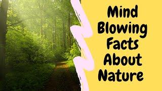 Mind Blowing Facts About Nature (Utter Truth)