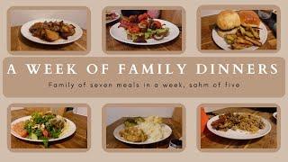 WEEK 14| FAMILY DINNERS OF THE WEEK | family of seven evening meal ideas, meal plan