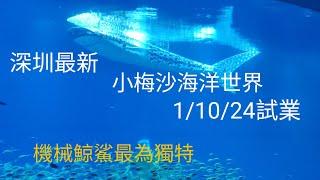 深圳小梅沙海洋世界10月1號正式事業、終於有一個屬於深圳的海洋動物館