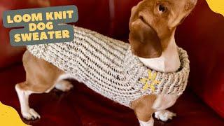 How to Loom Knit a Dog Sweater