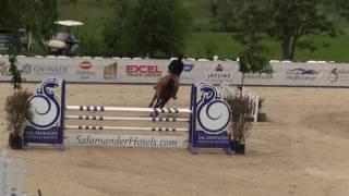 Video of CHARMEDINO ridden by MORGAN HOFFMAN from ShowNet!