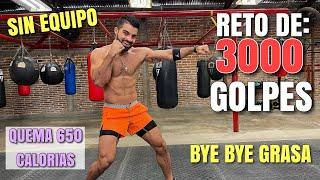 HIIT de Boxeo en Casa (38 Minutos) Reto de 3000 Golpes Sin Equipo