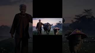 Lão Và Capy | Capybara đi chăn trâu cùng ông lão #veo3 #viral #funny #laovacapy #spacemedia