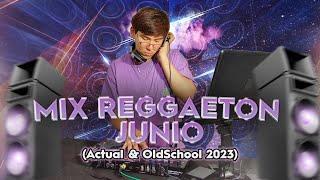 MIX REGGAETON NEW & OLD JUNIO 2023 ( BEBE, DILE, PARTY, ENVOLVER ) - DJ FABRIZZIO FABIAN