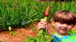 Composting With Kids