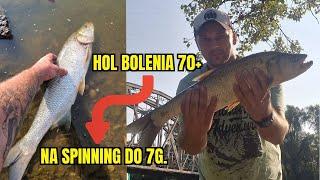 HOL DUŻEGO BOLENIA NA LEKKI SPINNING #spinning #ryby #fishing #rzeka